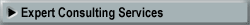 Expert Consulting Services