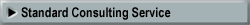 Standard Consulting Service