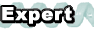 Expert